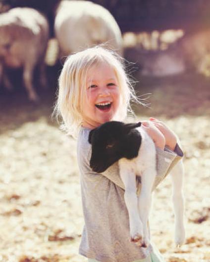 Ferienhilfe Schweiz: Ferien für Kinder