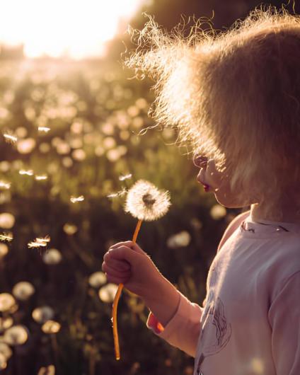 Trauerspende: Spenden statt Blumen